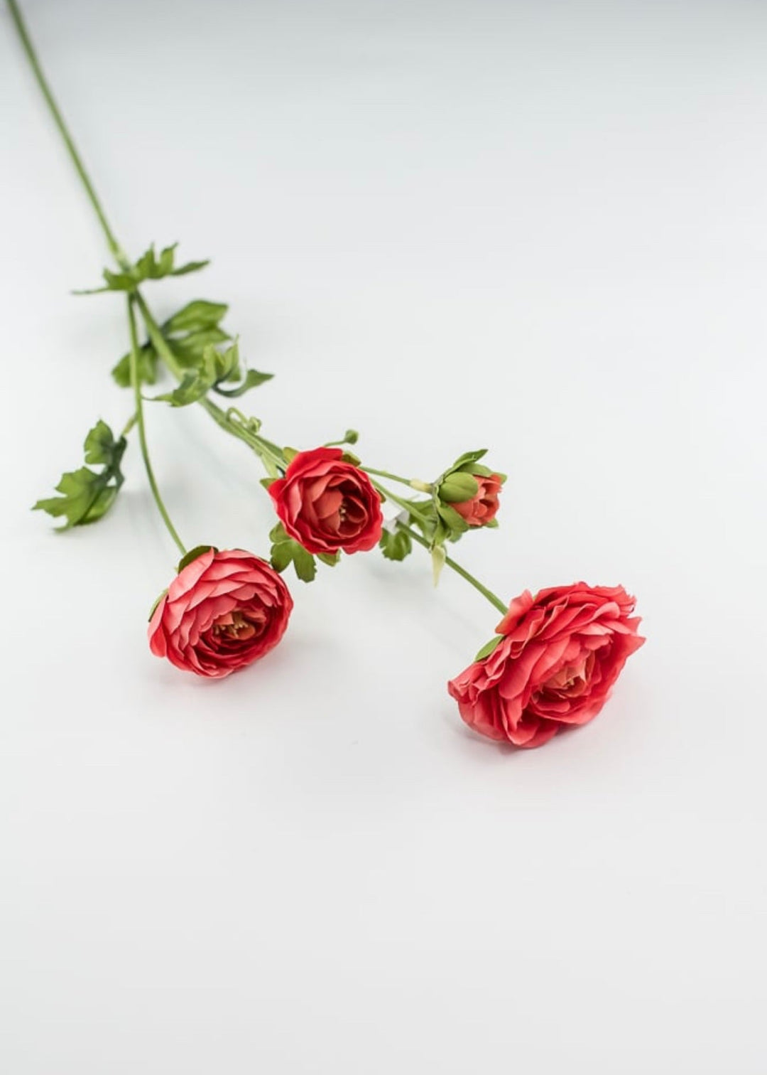 Coral ranunculus spray - Greenery Market4744-cor