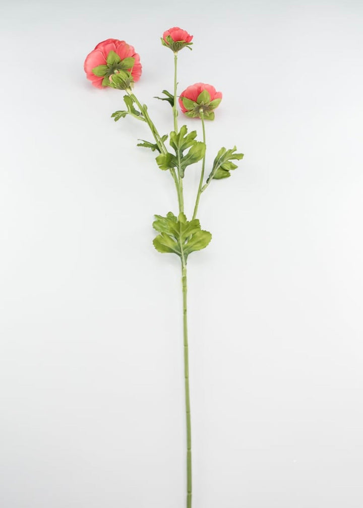 Coral ranunculus spray - Greenery Market4744-cor