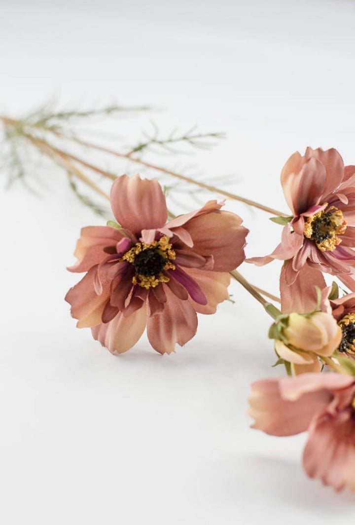 Cosmos spray - dusty pink mocha - Greenery Marketartificial flowers5357 - mors