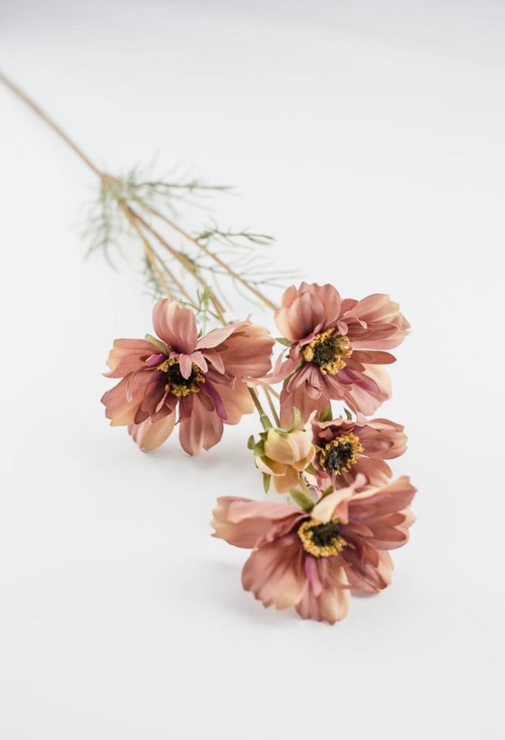 Cosmos spray - dusty pink mocha - Greenery Marketartificial flowers5357 - mors