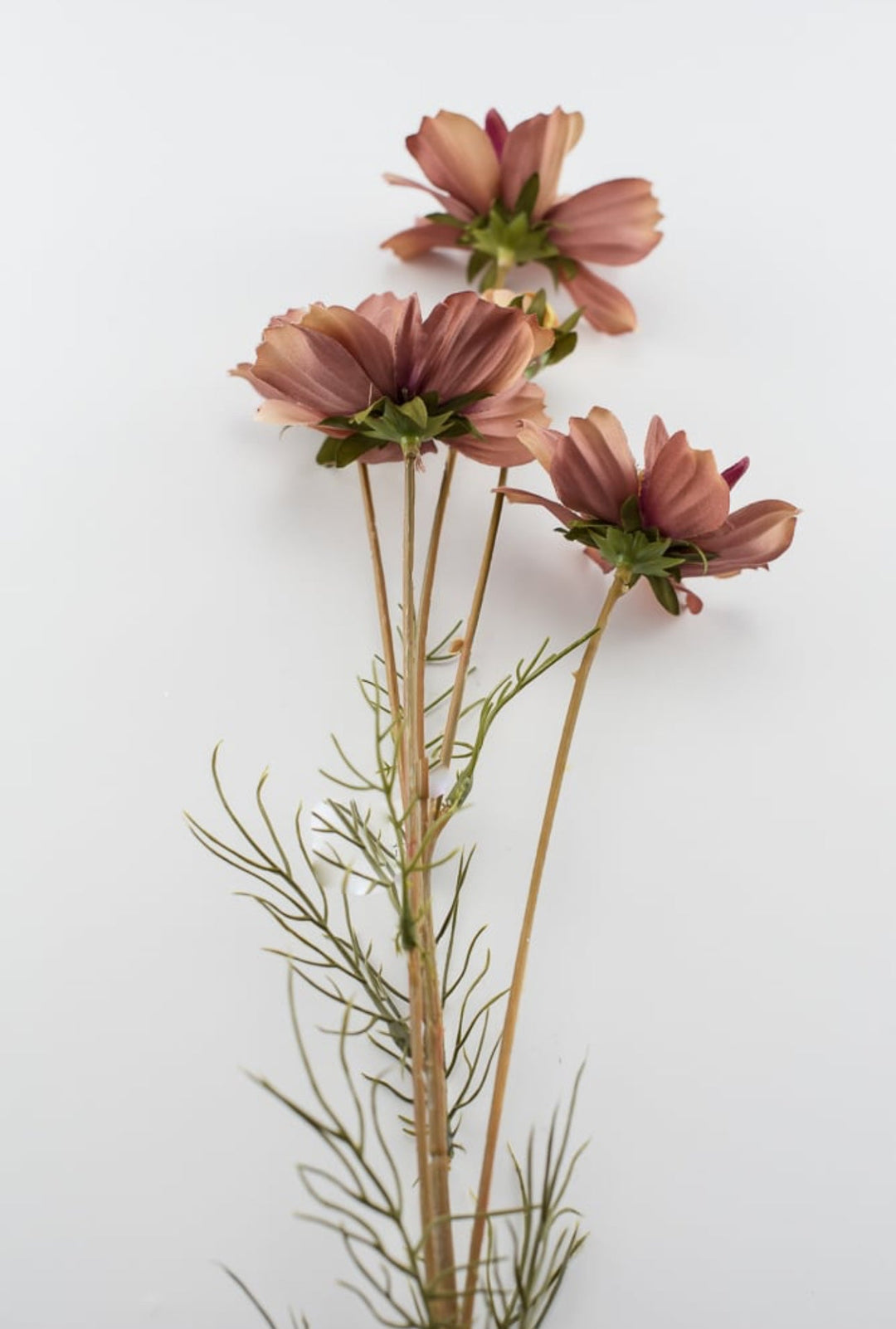 Cosmos spray - dusty pink mocha - Greenery Marketartificial flowers5357 - mors