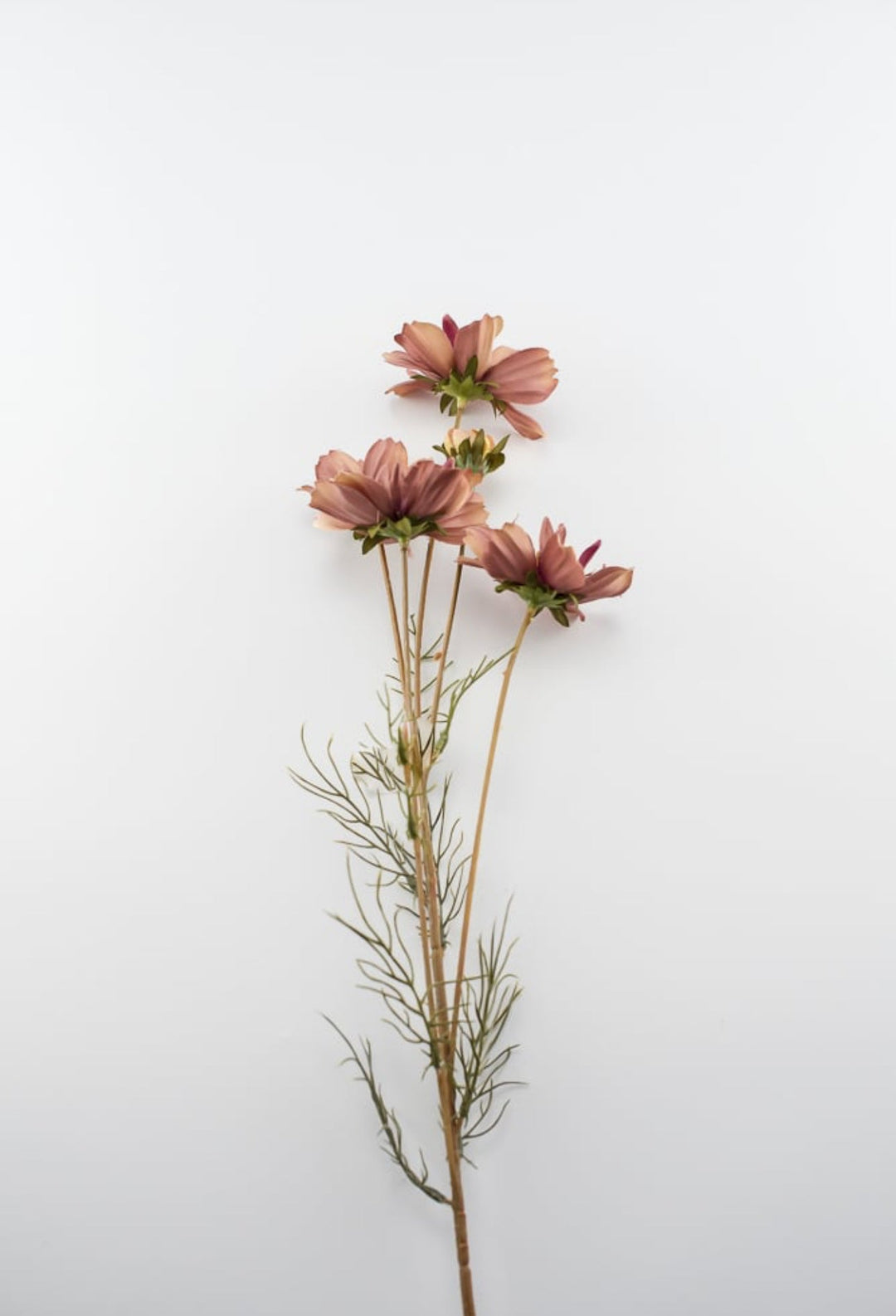 Cosmos spray - dusty pink mocha - Greenery Marketartificial flowers5357 - mors