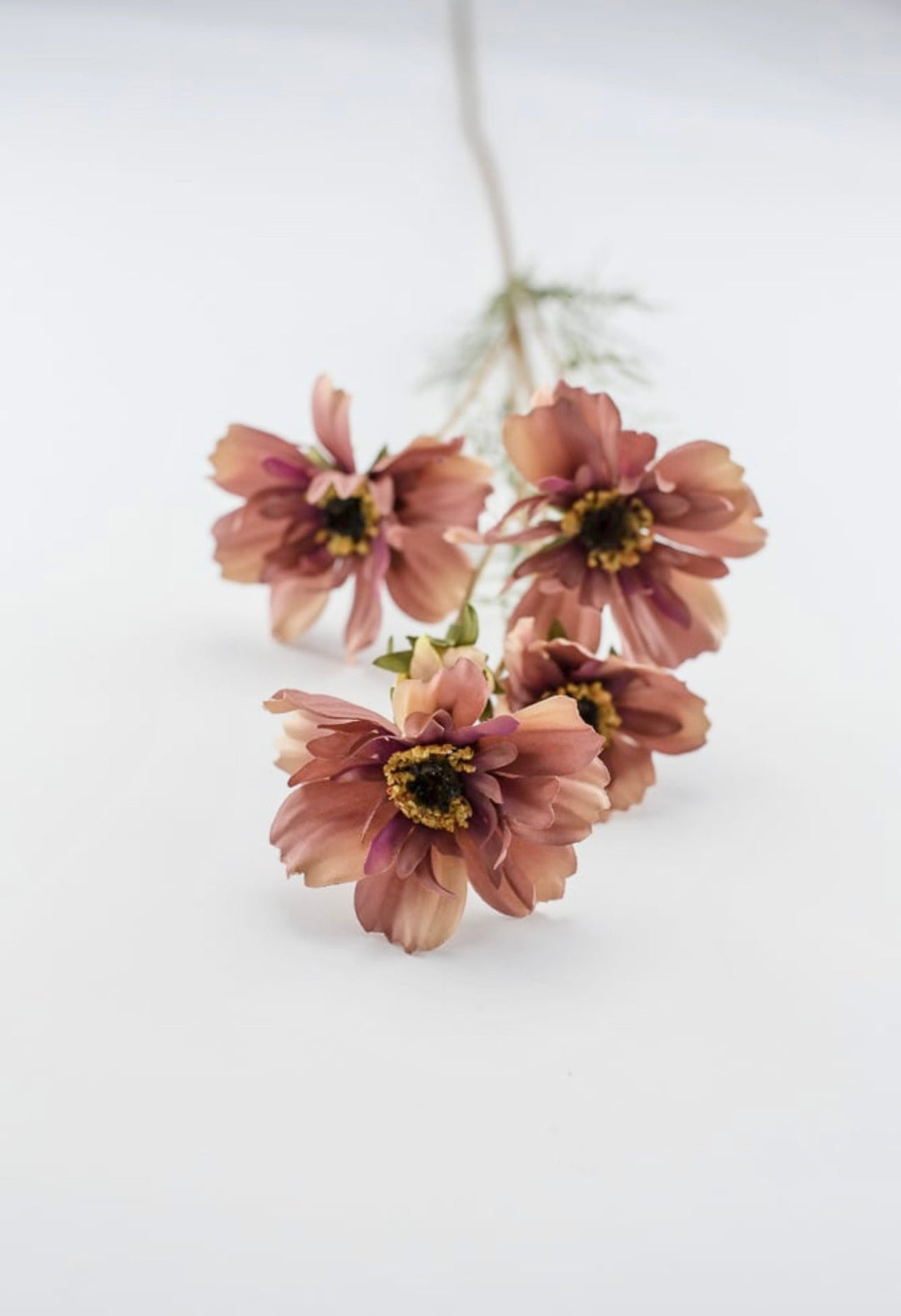 Cosmos spray - dusty pink mocha - Greenery Marketartificial flowers5357 - mors