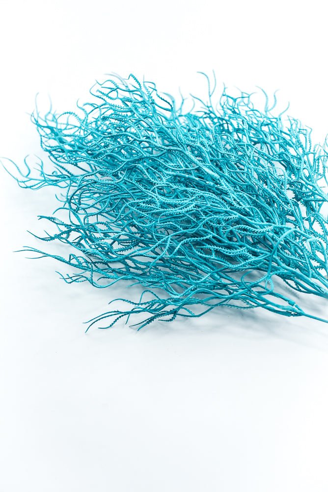 Cottonii seaweed bush - Aqua - Greenery MarketGM57097AQ