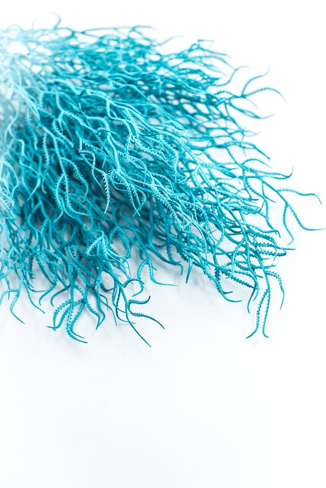 Cottonii seaweed bush - Aqua - Greenery MarketGM57097AQ