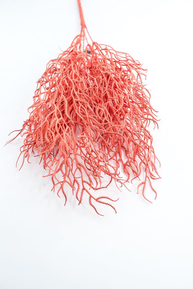 Cottonii seaweed bush - Coral - Greenery MarketGM57097COR