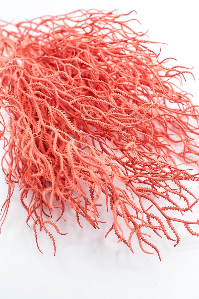 Cottonii seaweed bush - Coral - Greenery MarketGM57097COR