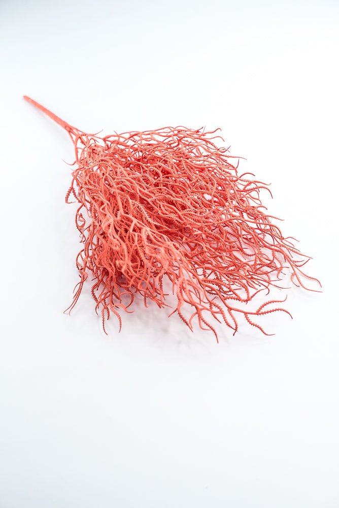 Cottonii seaweed bush - Coral - Greenery MarketGM57097COR