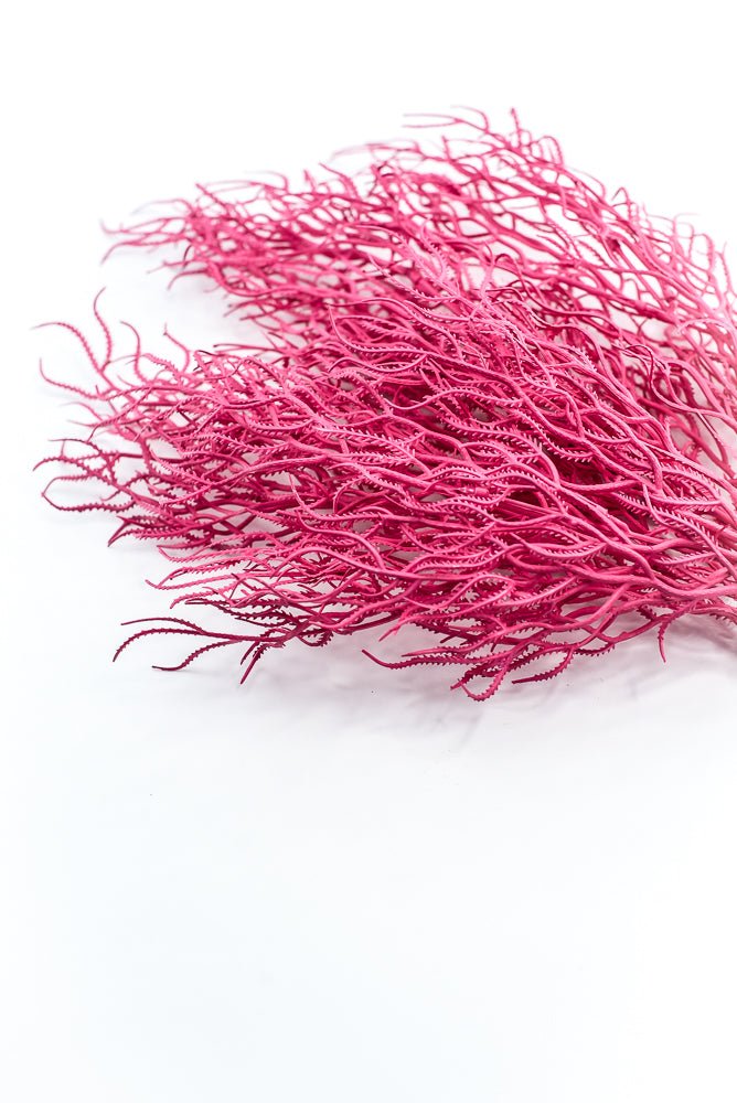 Cottonii seaweed bush - Pink - Greenery MarketGM57097PK