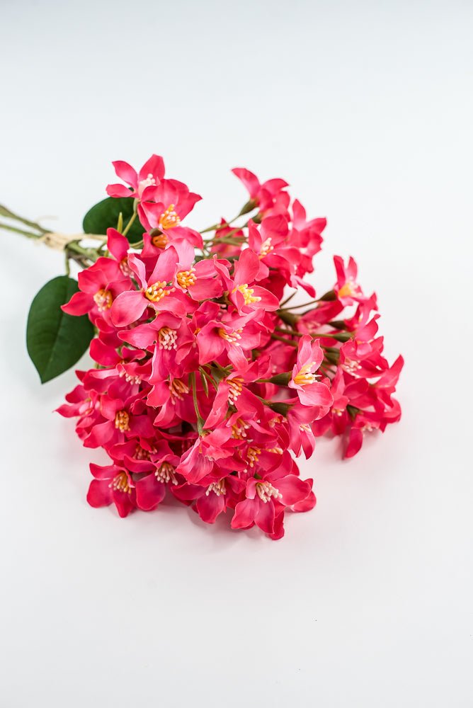 Crabapple bundle - hot pink - Greenery Market2285236HP