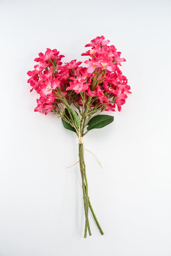 Crabapple bundle - hot pink - Greenery Market2285236HP