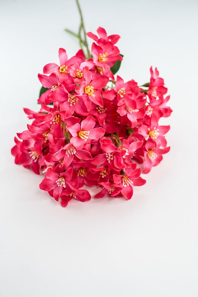 Crabapple bundle - hot pink - Greenery Market2285236HP