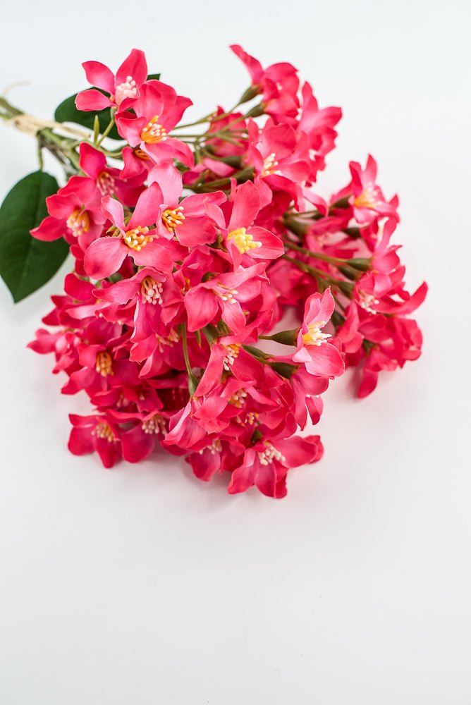 Crabapple bundle - hot pink - Greenery Market2285236HP