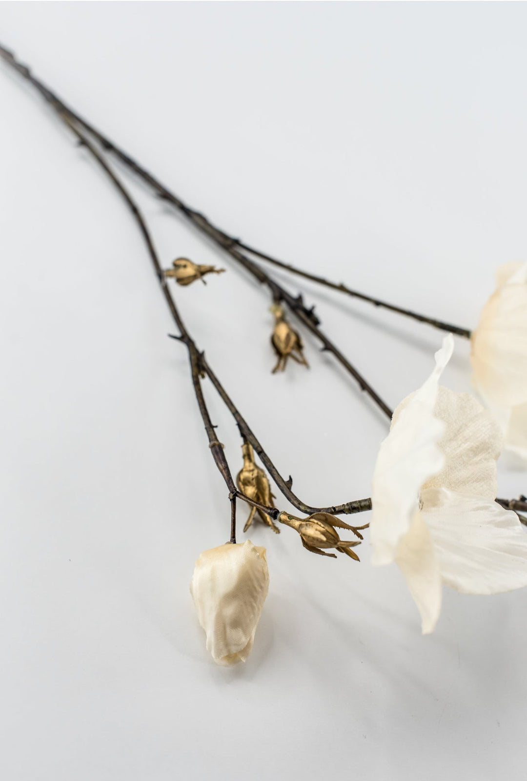 Cream Diamond Velvet Helleborus - 31" - Greenery MarketXFS796-CR