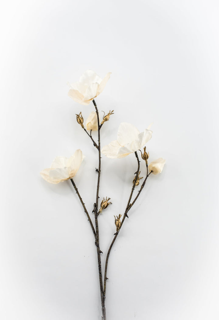 Cream Diamond Velvet Helleborus - 31" - Greenery MarketXFS796-CR