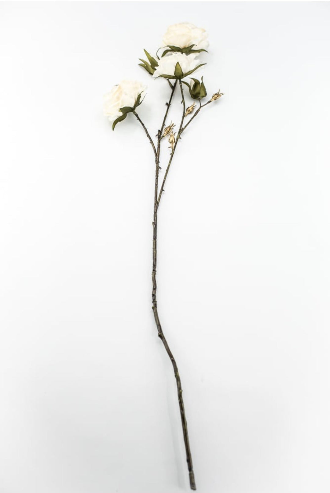 Cream Diamond Velvet Rose Spray - 31" - Greenery MarketXFS795-CR