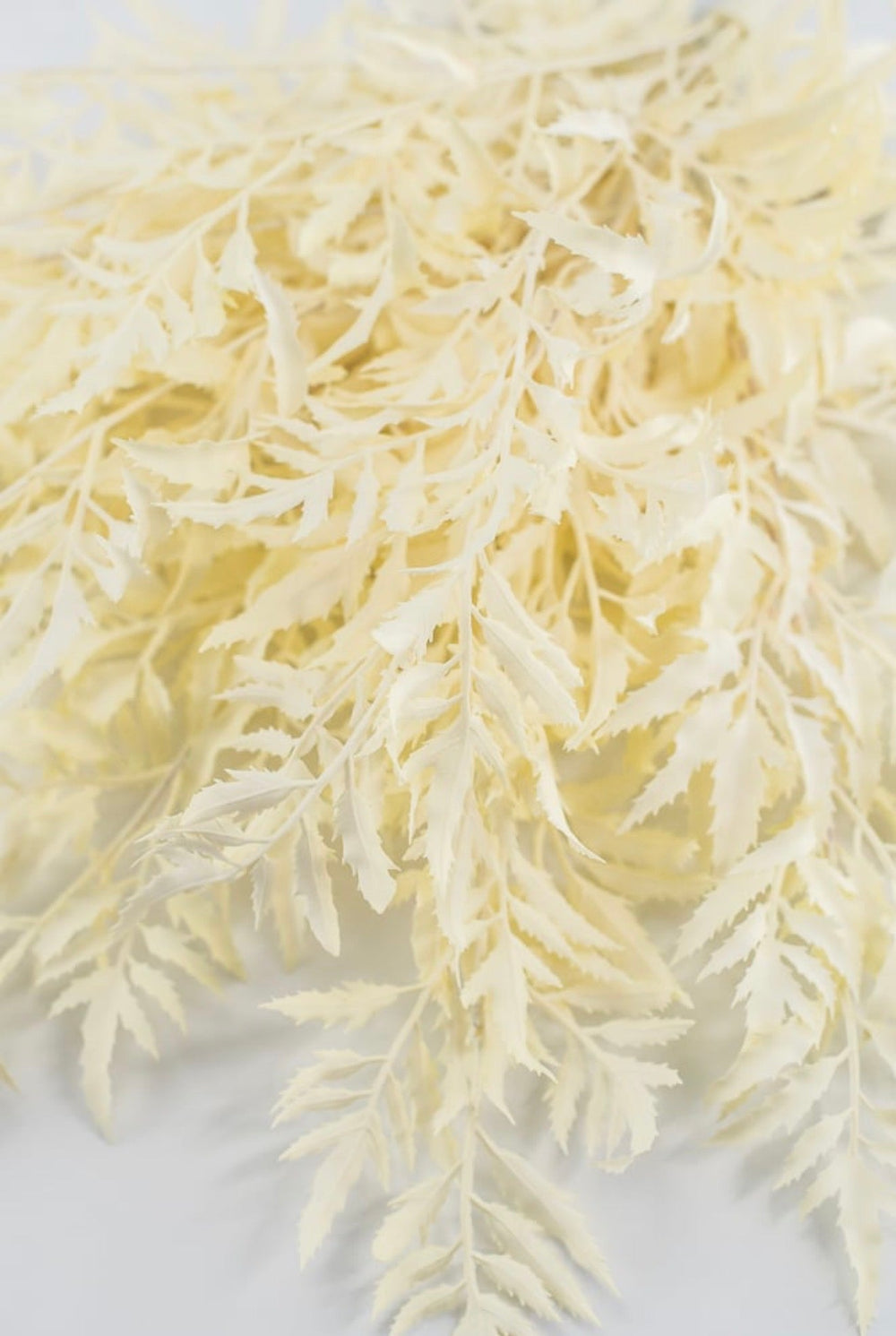 Cream Fern Bush - Greenery Market85359-UV-CR