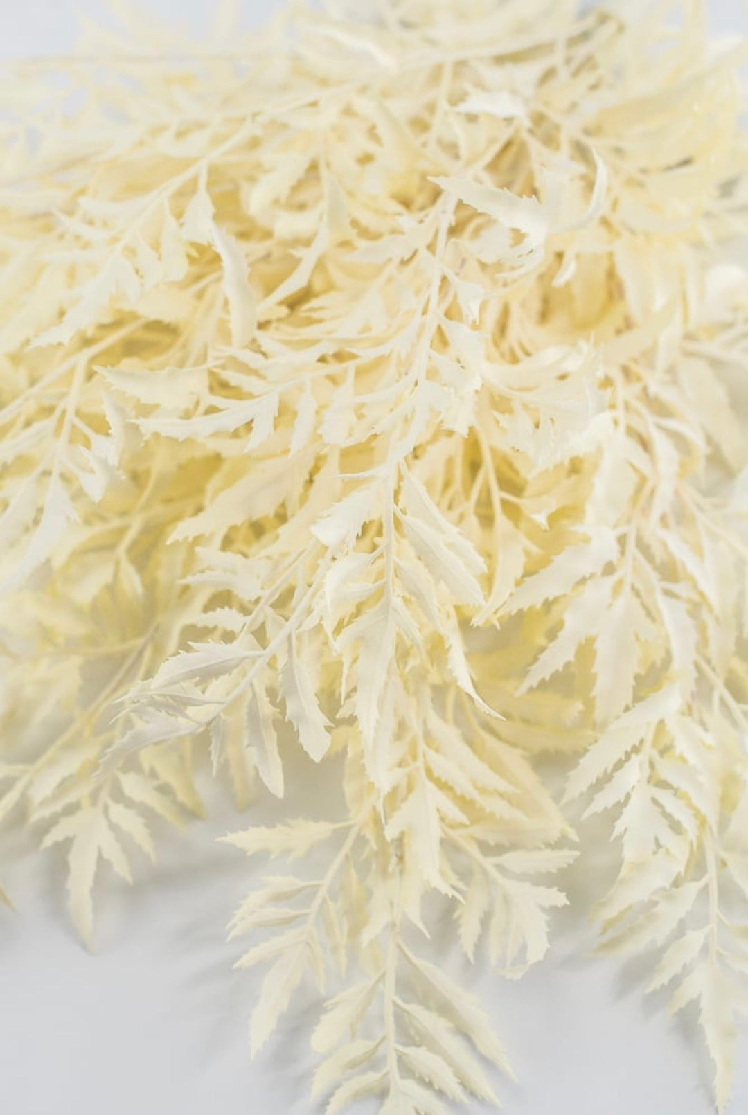 Cream Fern Bush - Greenery Market85359-UV-CR