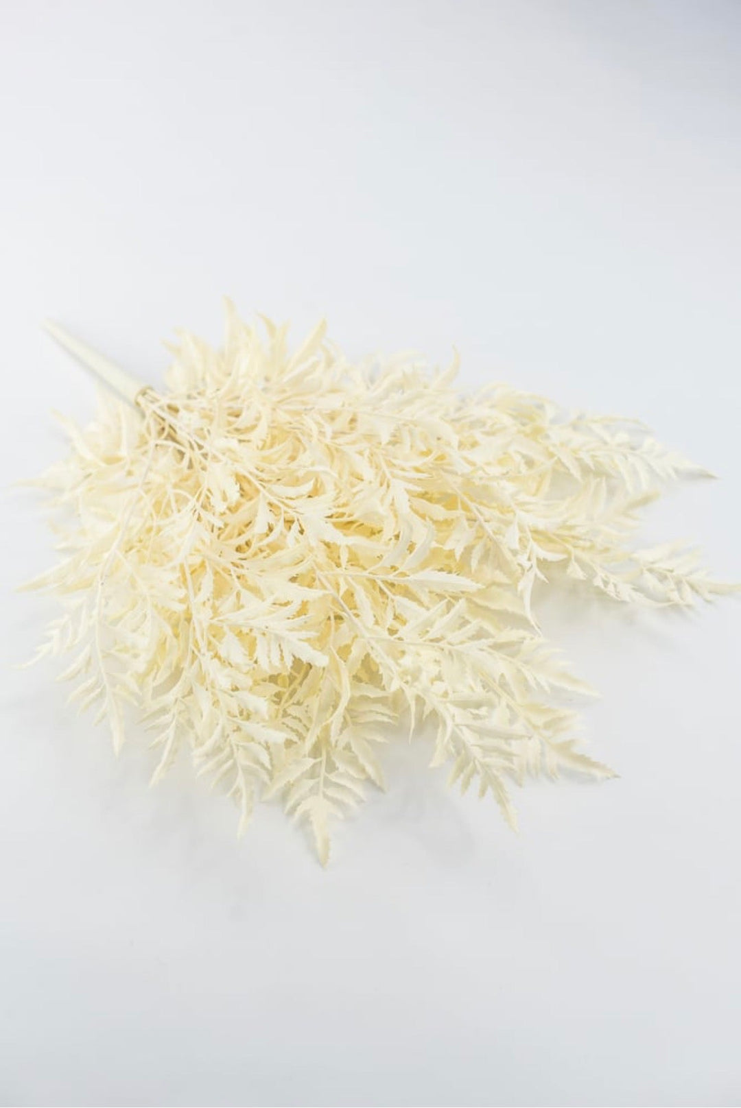 Cream Fern Bush - Greenery Market85359-UV-CR