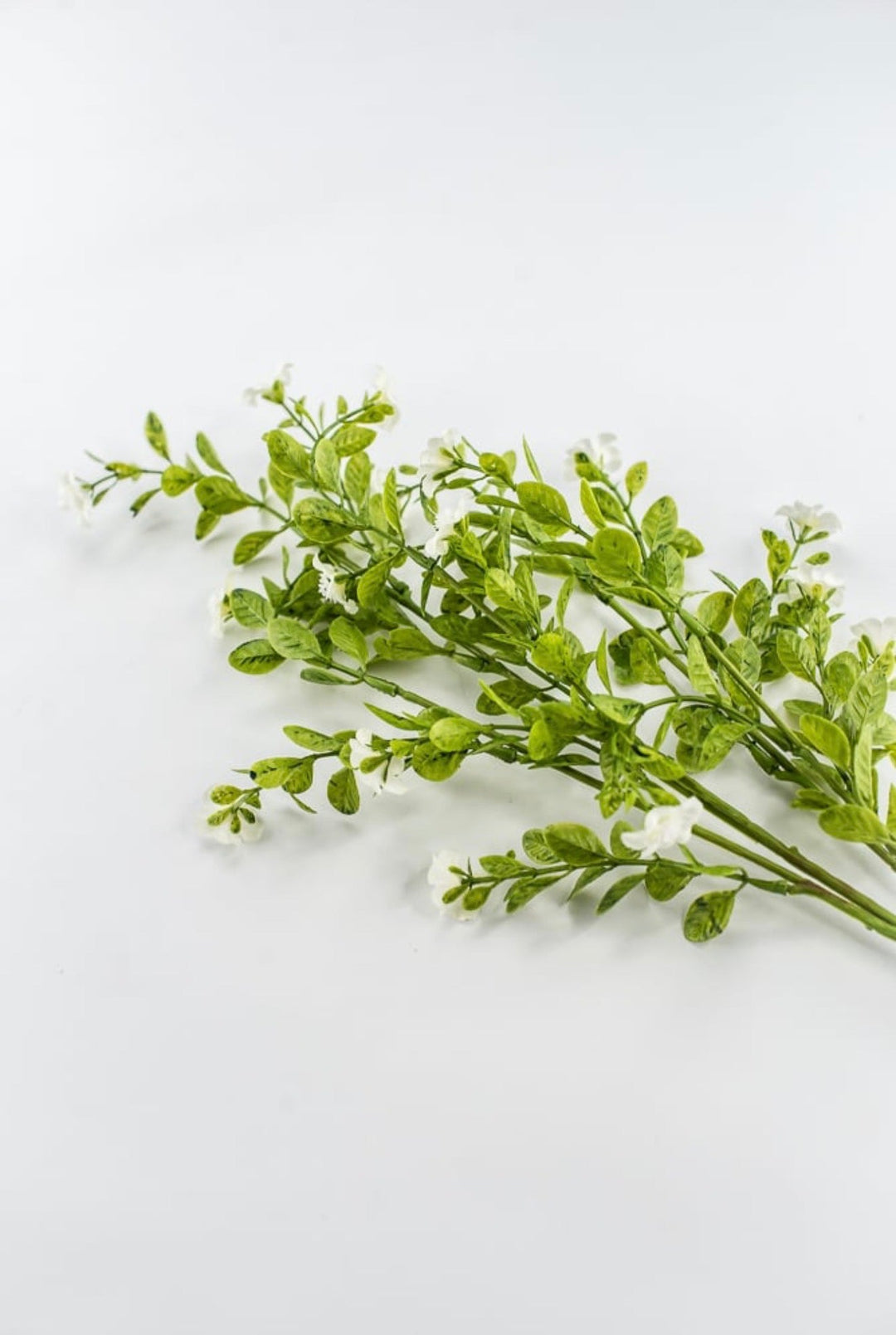 Cream Filler Spray - 27" - Greenery MarketArtificial Flowers85599-CR