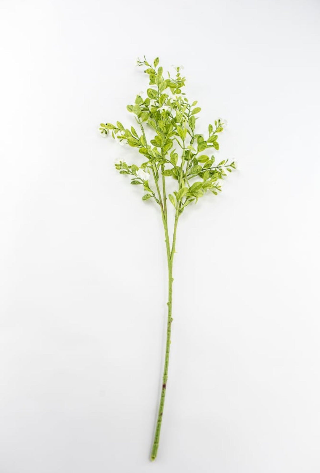 Cream Filler Spray - 27" - Greenery MarketArtificial Flowers85599-CR