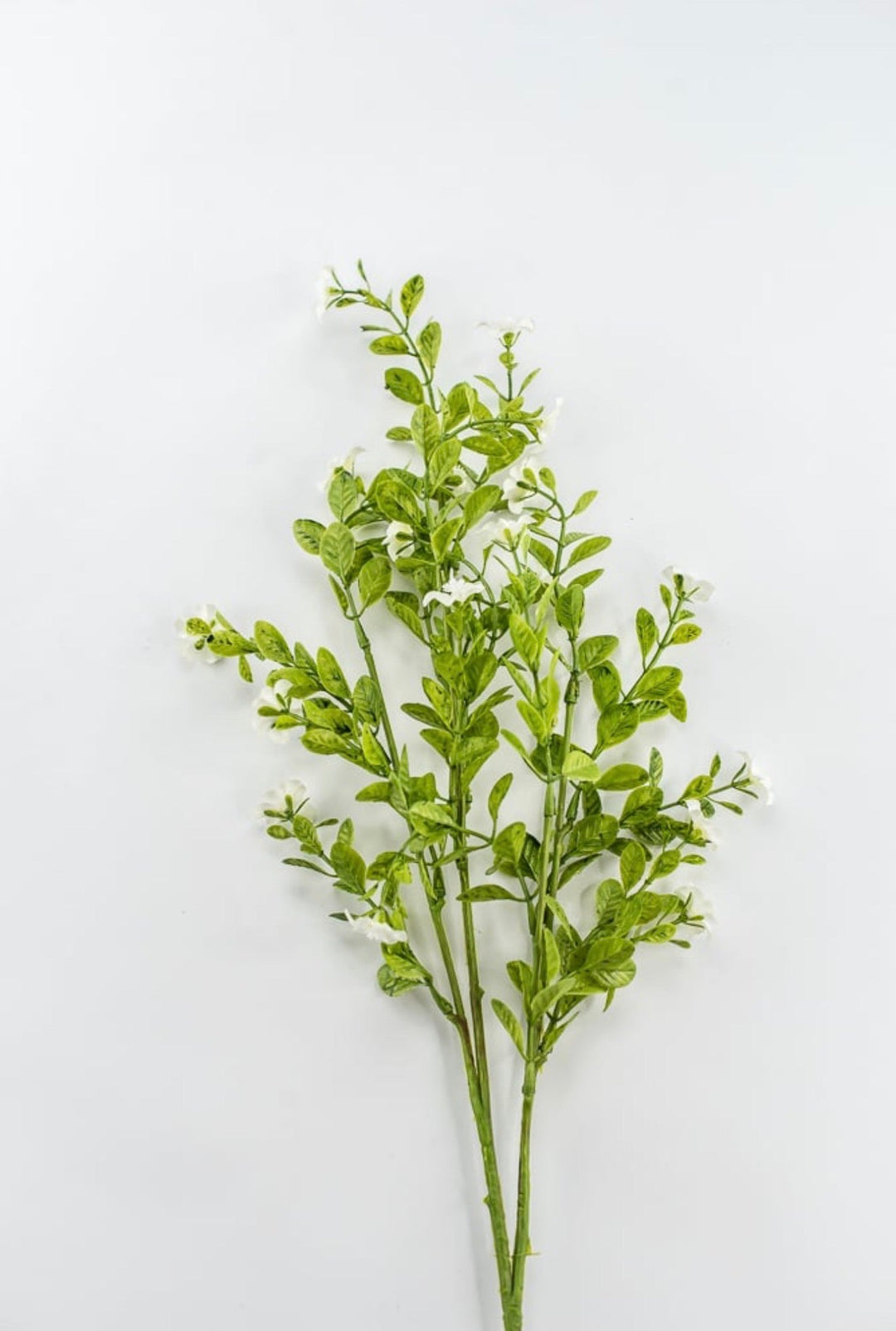 Cream Filler Spray - 27" - Greenery MarketArtificial Flowers85599-CR