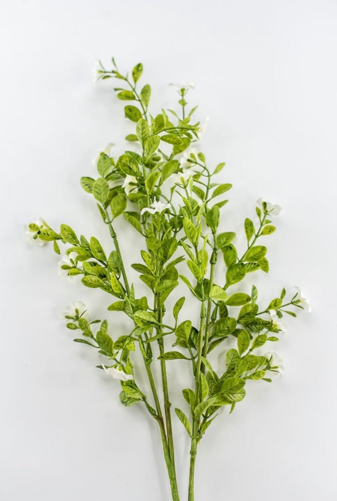 Cream Filler Spray - 27" - Greenery MarketArtificial Flowers85599-CR
