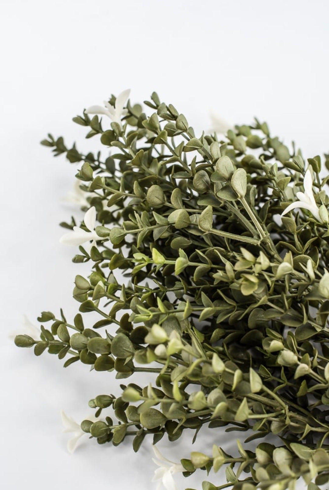 Cream Mini Eucalyptus Plastic - Greenery Market85272-CR