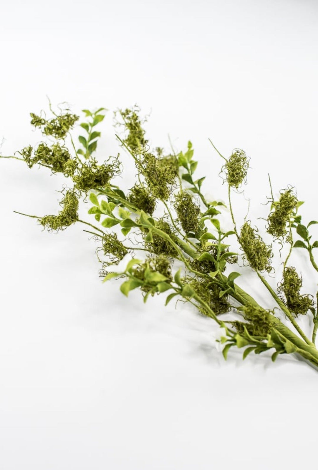 Cream Moss Flower Spray - 28" - Greenery Market63952CM