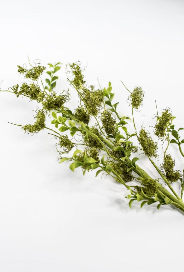 Cream Moss Flower Spray - 28" - Greenery Market63952CM