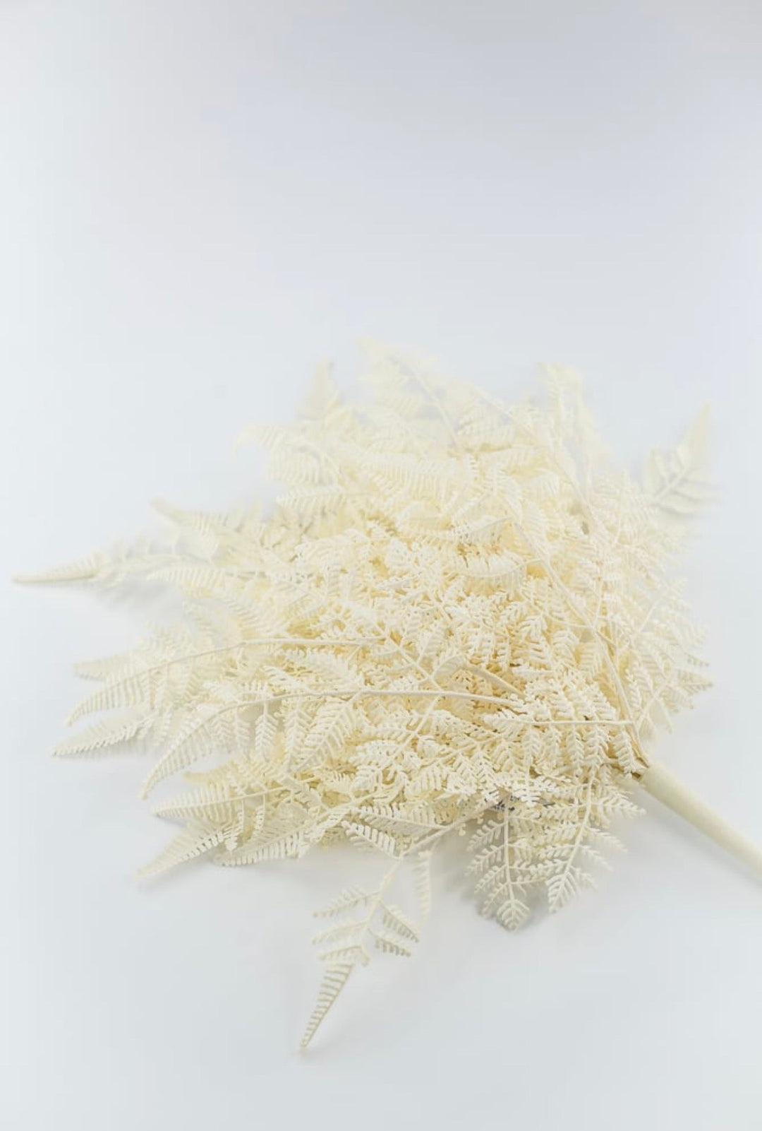 Cream Plastic Fern Bush - Greenery Market85367-UV-WT