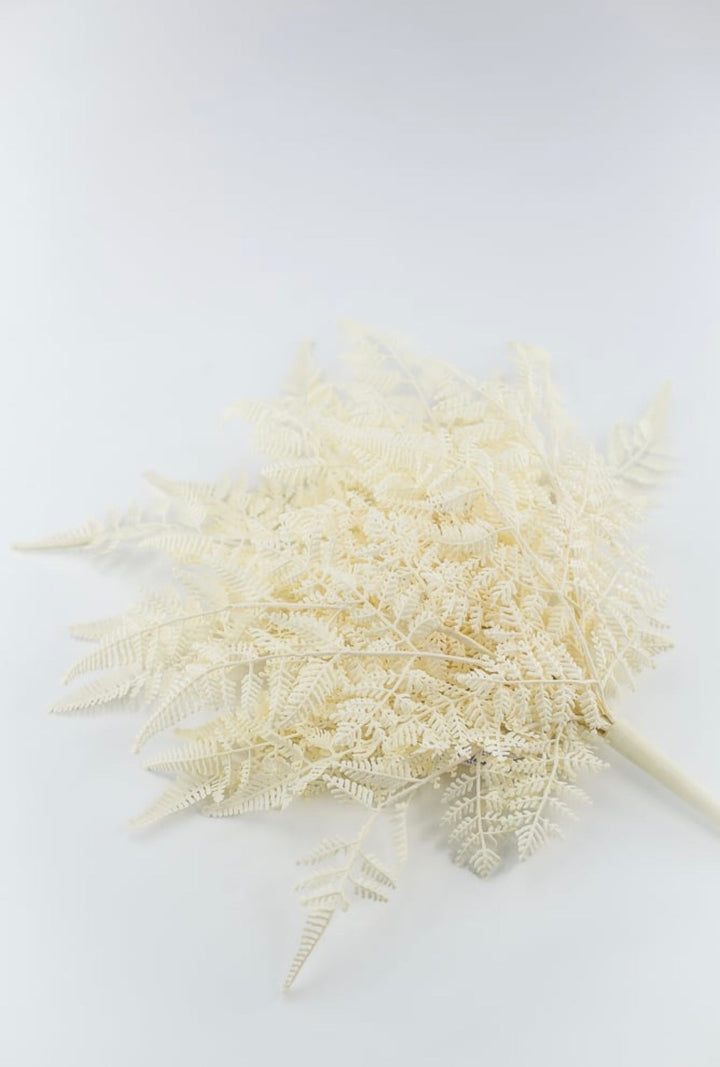 Cream Plastic Fern Bush - Greenery Market85367-UV-WT