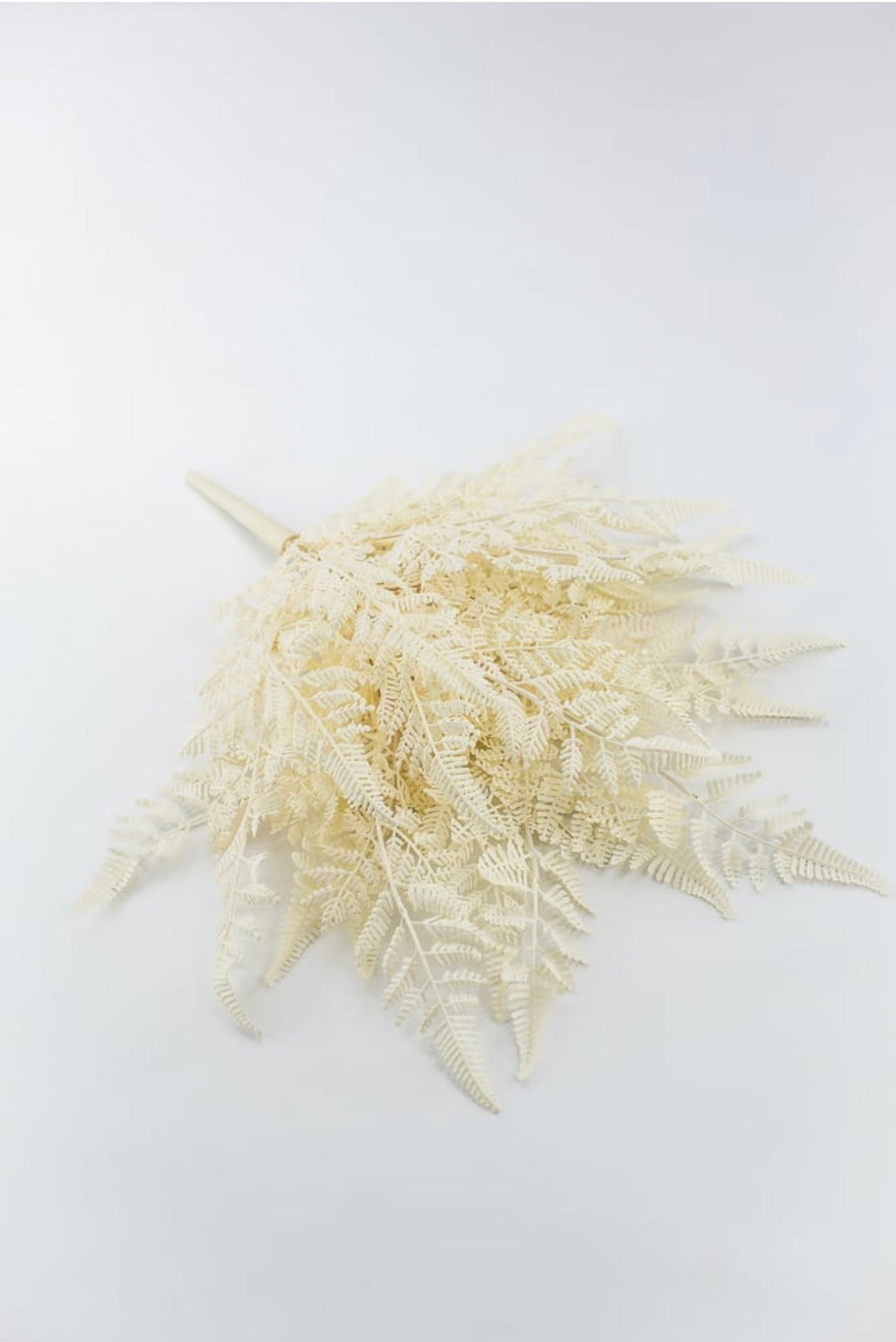 Cream Plastic Fern Bush - Greenery Market85367-UV-WT