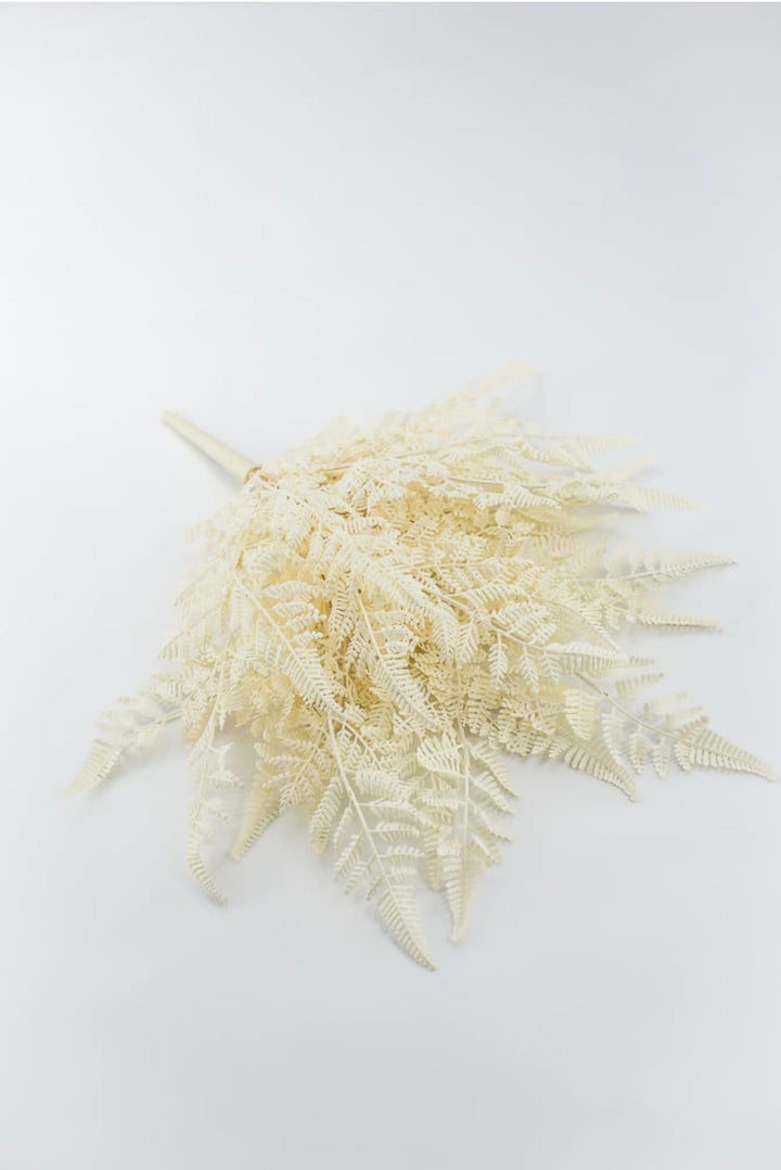 Cream Plastic Fern Bush - Greenery Market85367-UV-WT