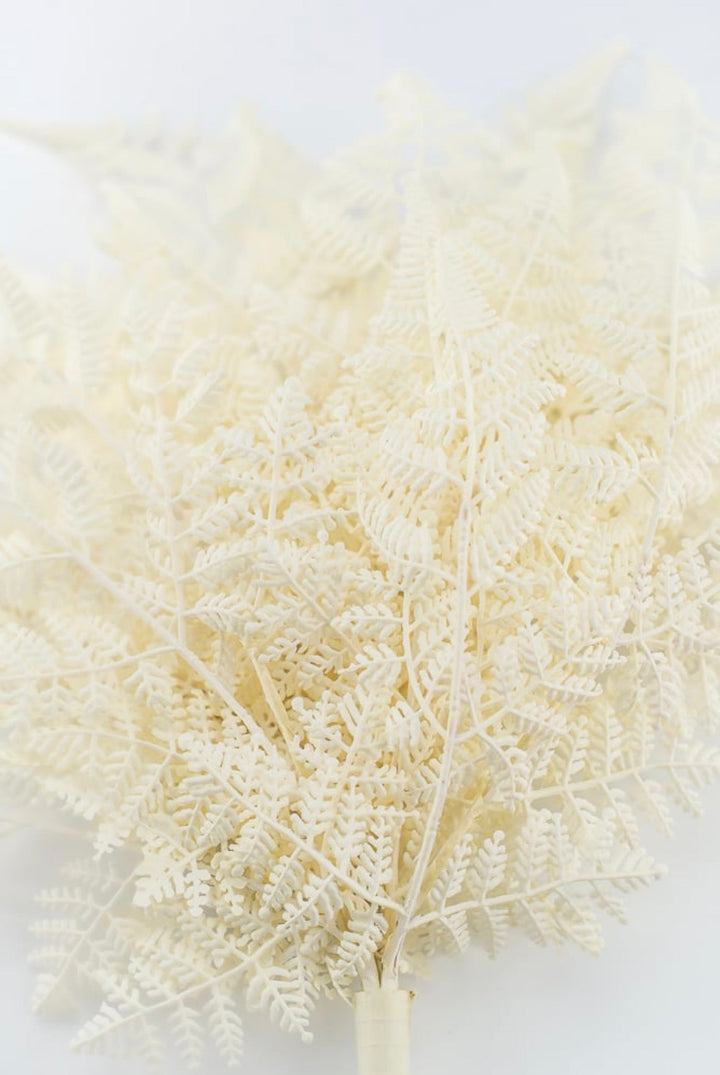 Cream Plastic Fern Bush - Greenery Market85367-UV-WT