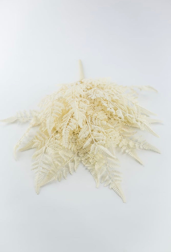 Cream Plastic Fern Bush - Greenery Market85367-UV-WT