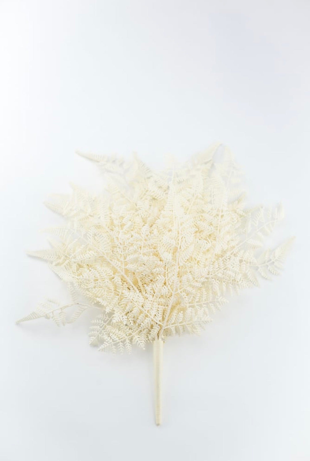 Cream Plastic Fern Bush - Greenery Market85367-UV-WT