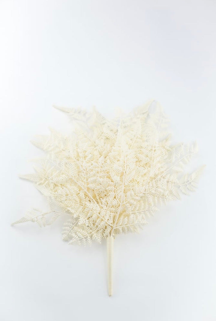 Cream Plastic Fern Bush - Greenery Market85367-UV-WT