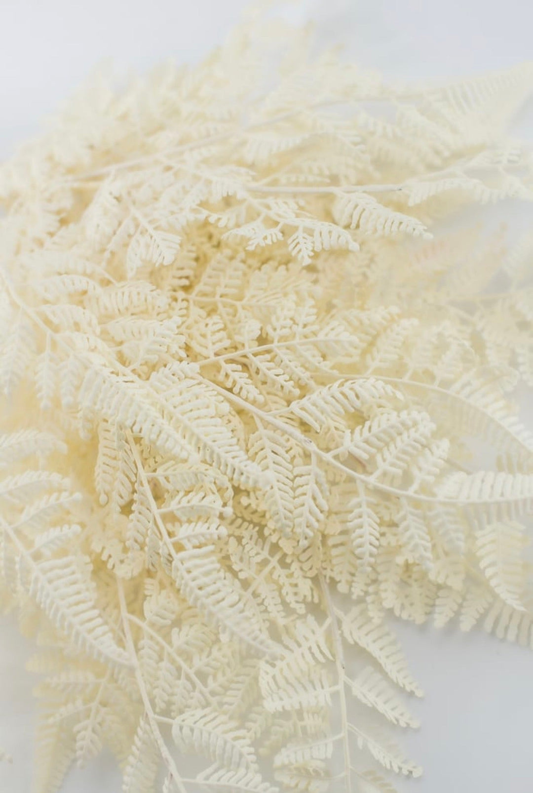 Cream Plastic Fern Bush - Greenery Market85367-UV-WT