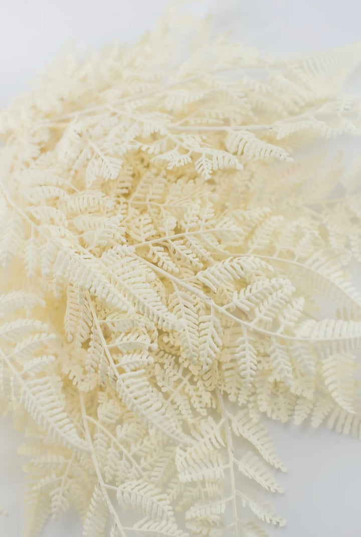 Cream Plastic Fern Bush - Greenery Market85367-UV-WT