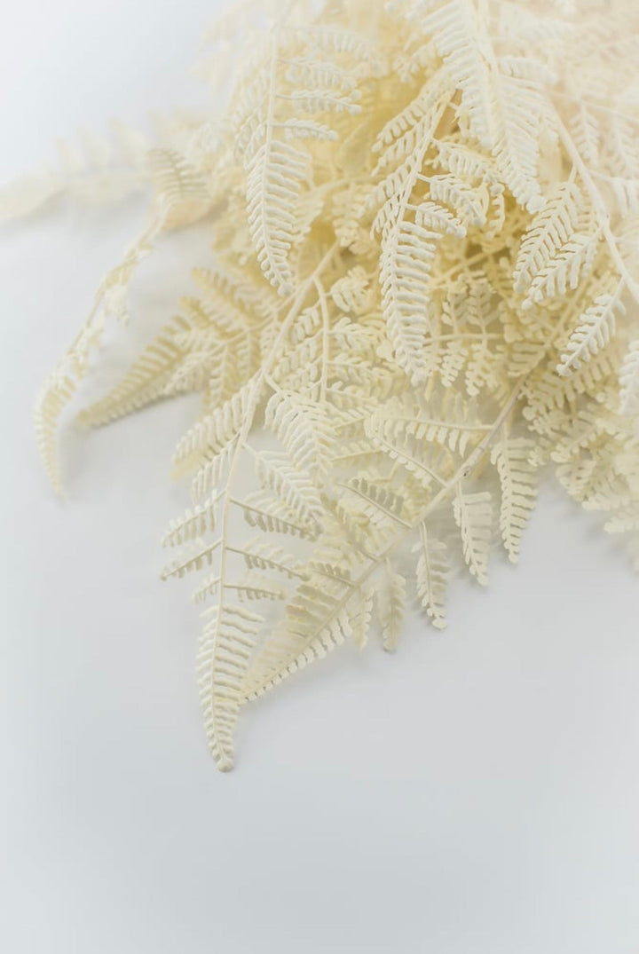 Cream Plastic Fern Bush - Greenery Market85367-UV-WT