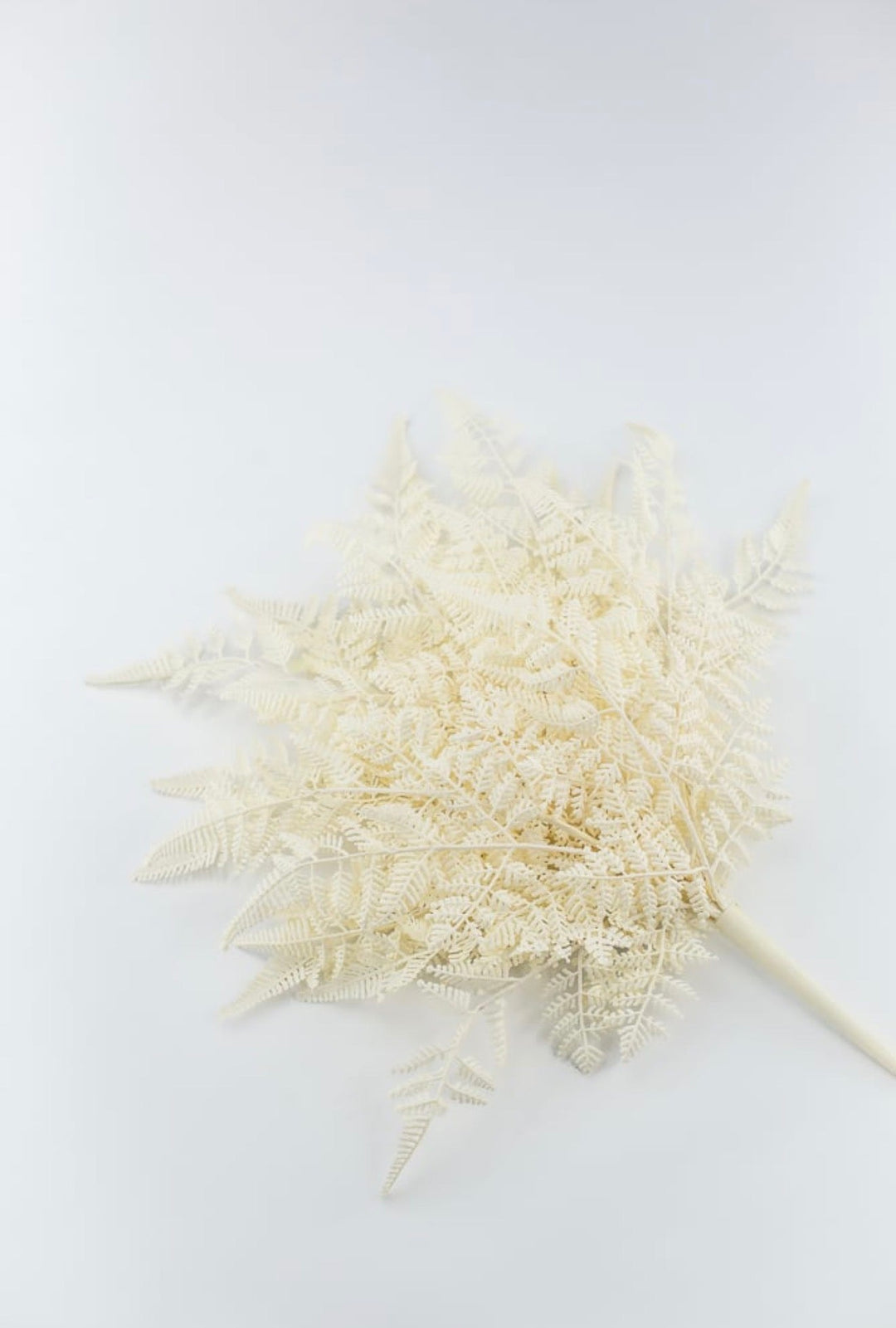 Cream Plastic Fern Bush - Greenery Market85367-UV-WT