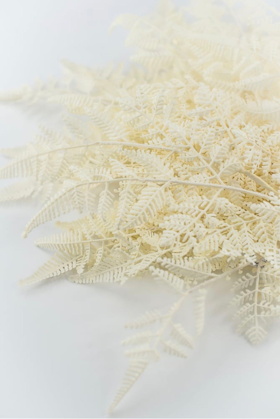 Cream Plastic Fern Bush - Greenery Market85367-UV-WT