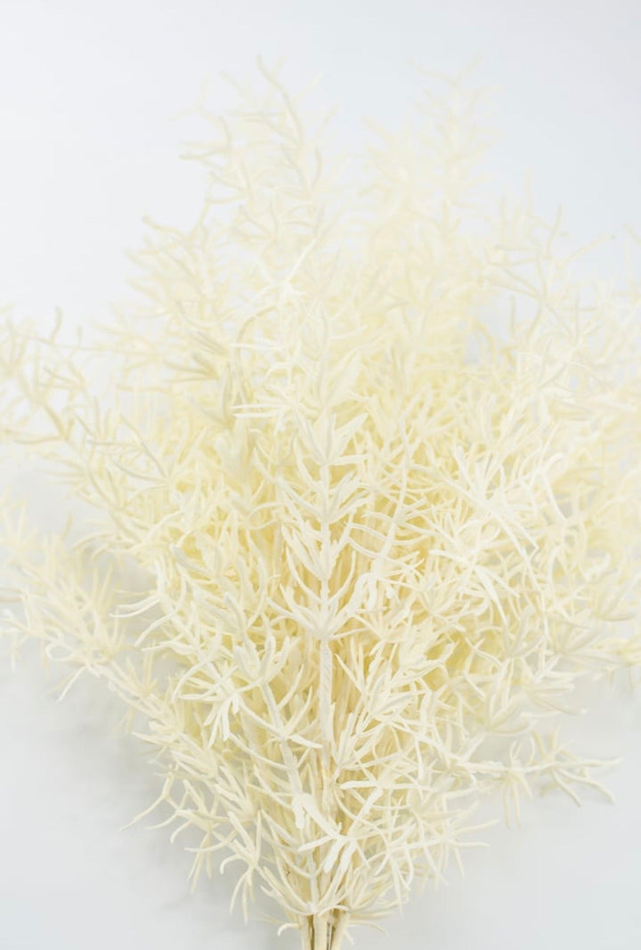 Cream Sprengeri Bush - Greenery Market85362-UV-CR
