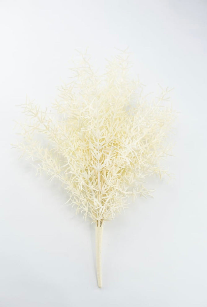Cream Sprengeri Bush - Greenery Market85362-UV-CR