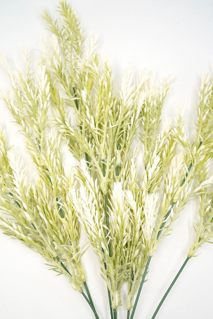 Cream Tipped Greenery bush - Greenery Market57751