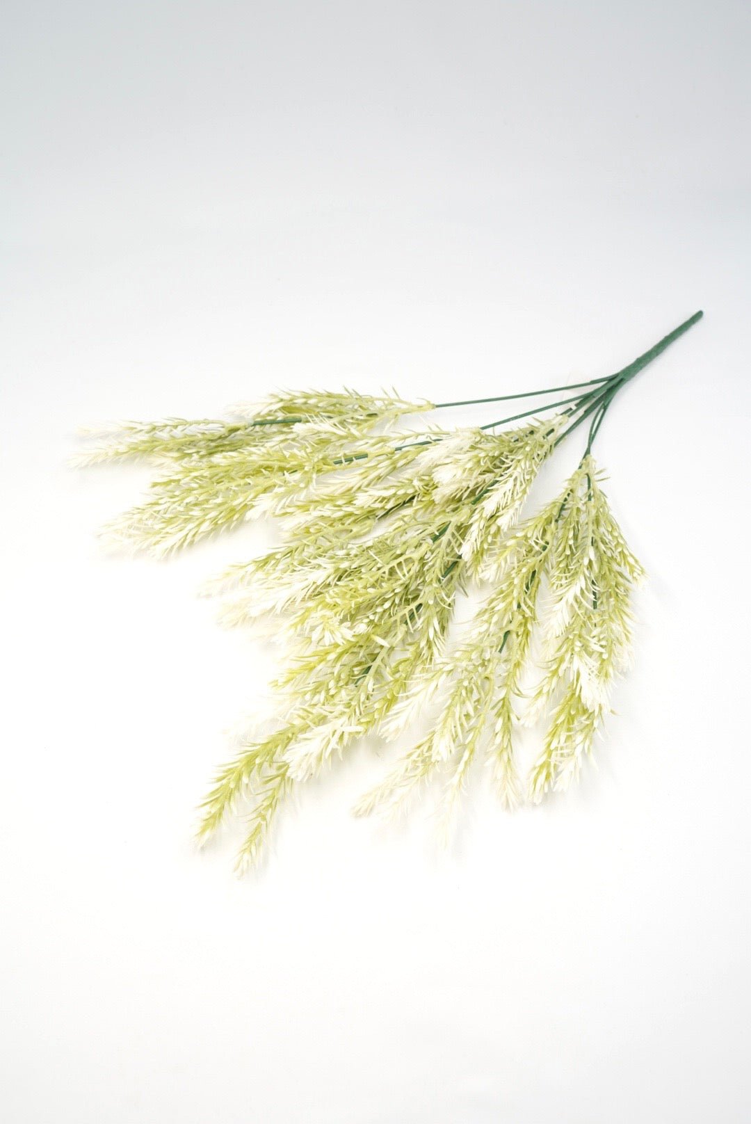 Cream Tipped Greenery bush - Greenery Market57751