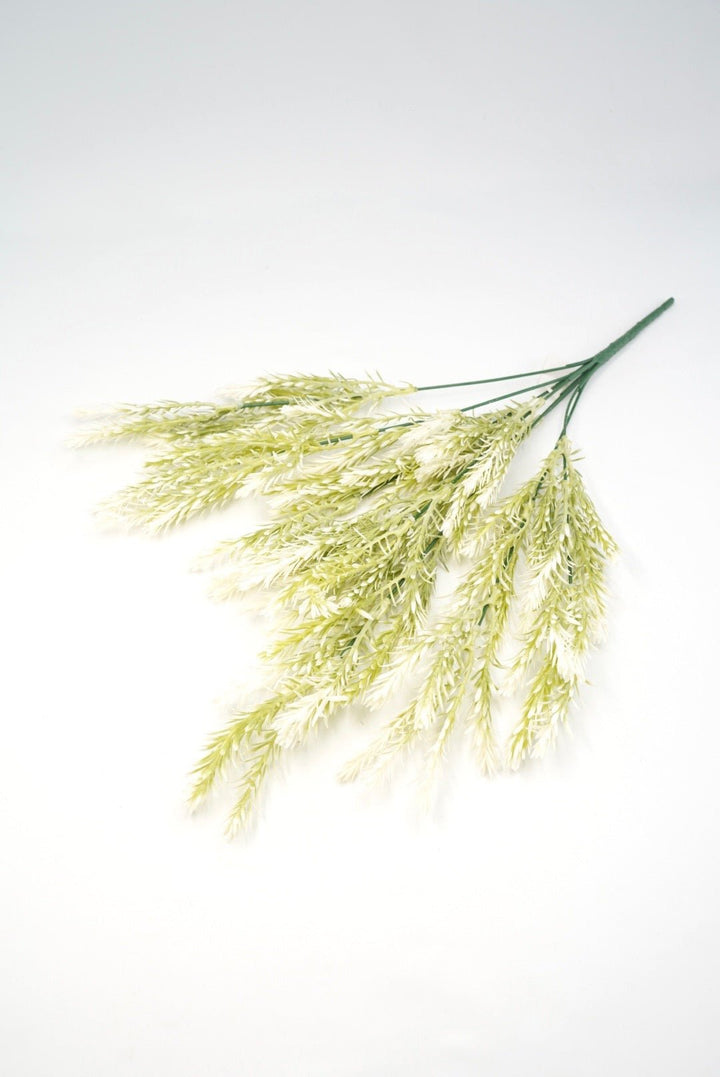 Cream Tipped Greenery bush - Greenery Market57751