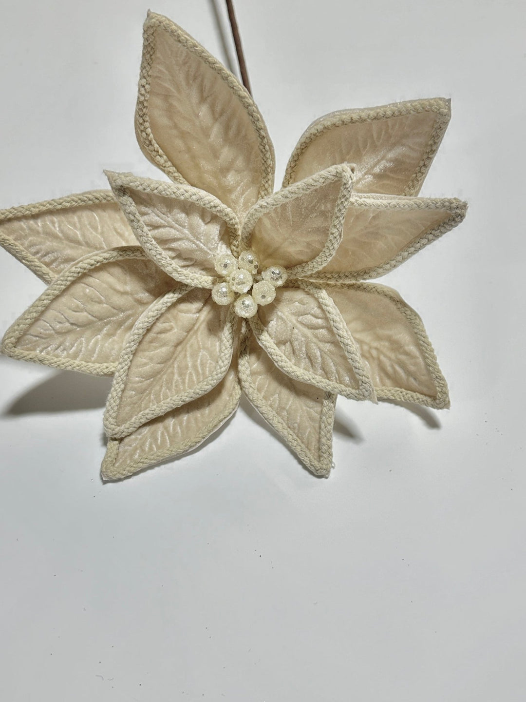 Cream velvet poinsettia with cord trim - Greenery MarketGF2715CH