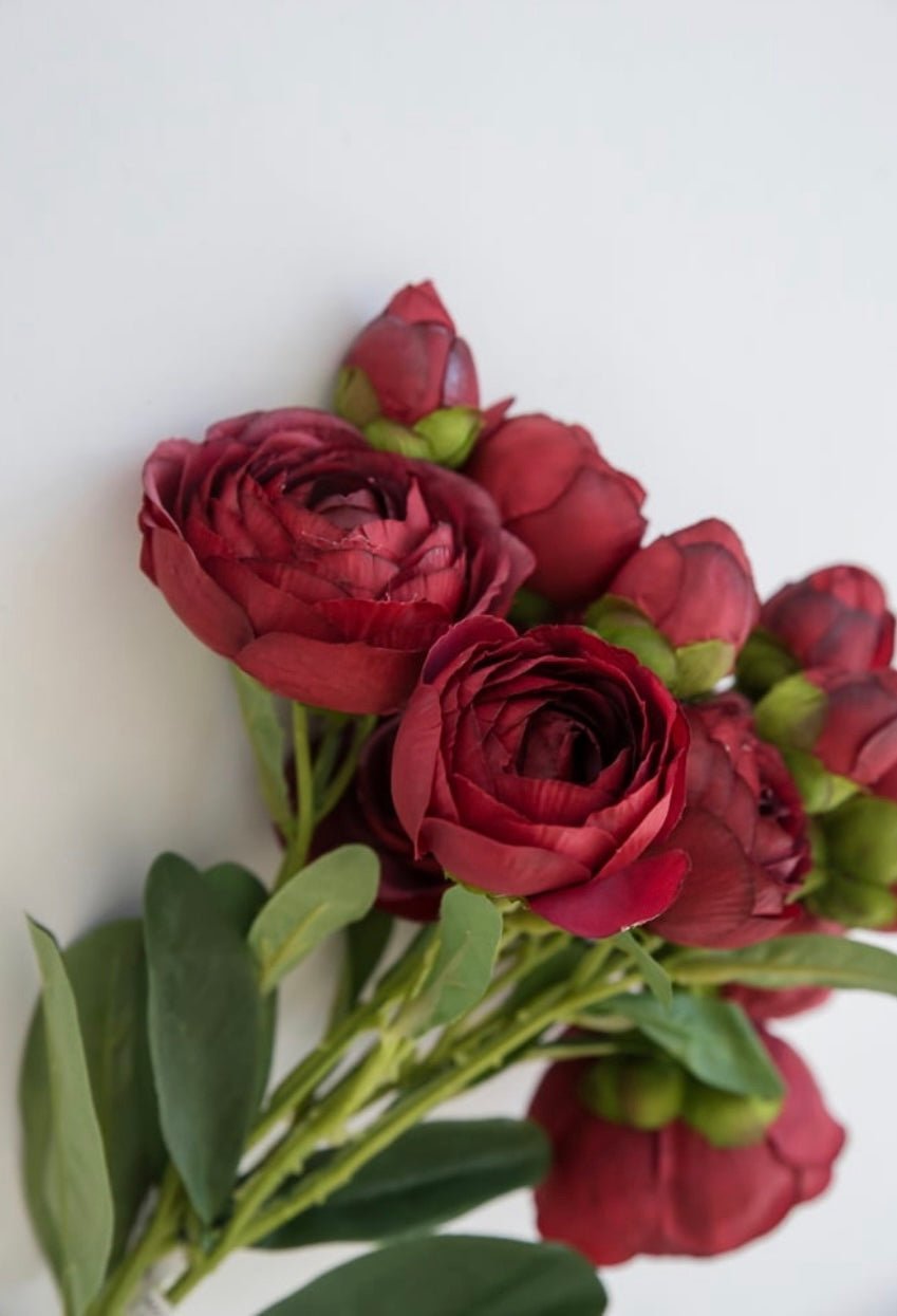 Dusty Red Ranunculus Deep red wine ranunculus bundle - Greenery Market